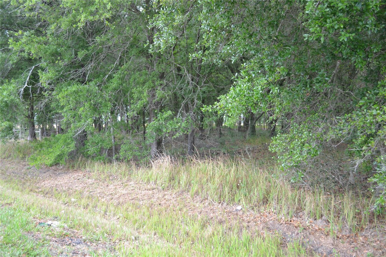 Image 7 of 7 For Bostick Road