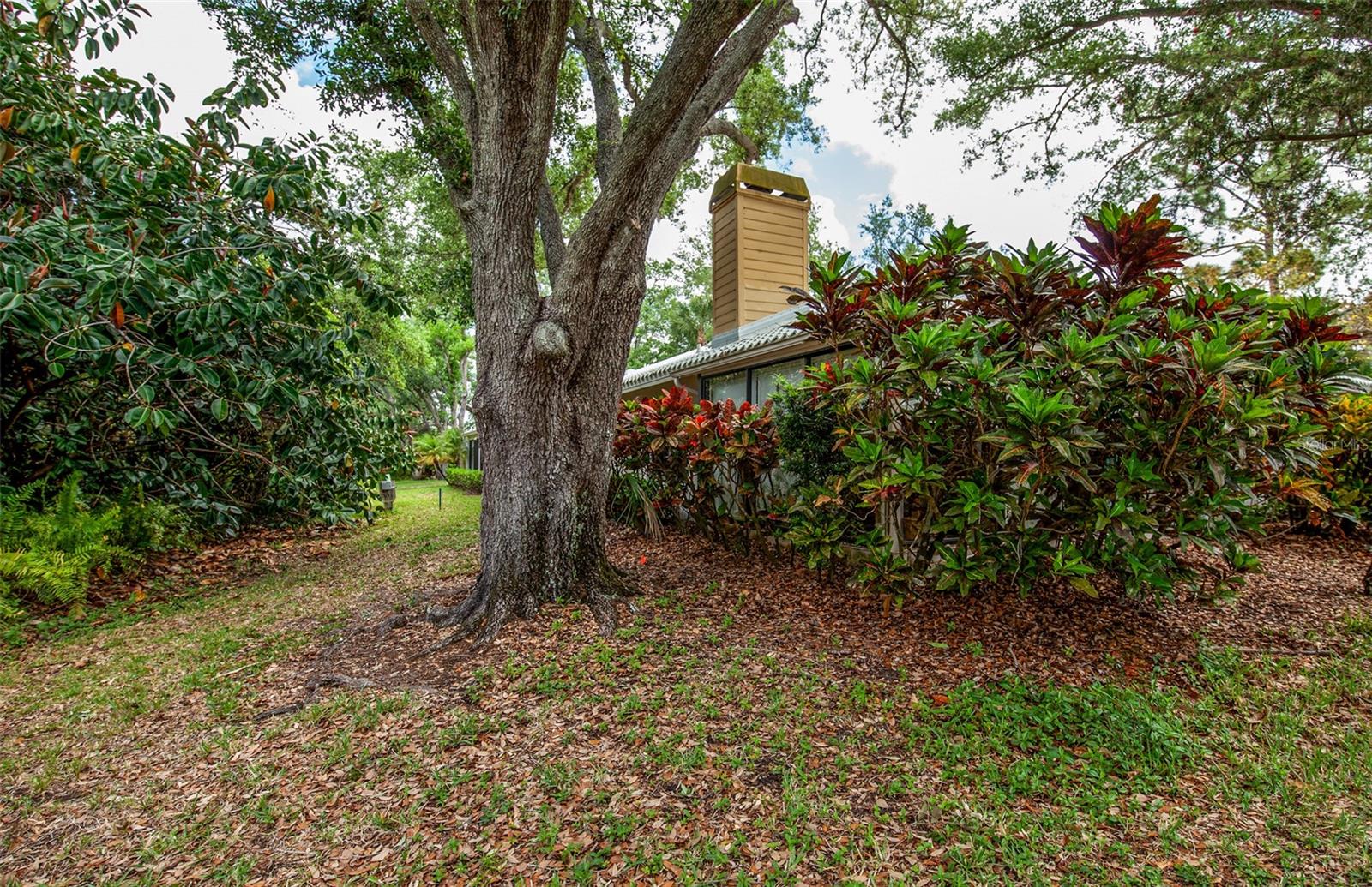 Image 46 of 71 For 247 Southampton Lane 272