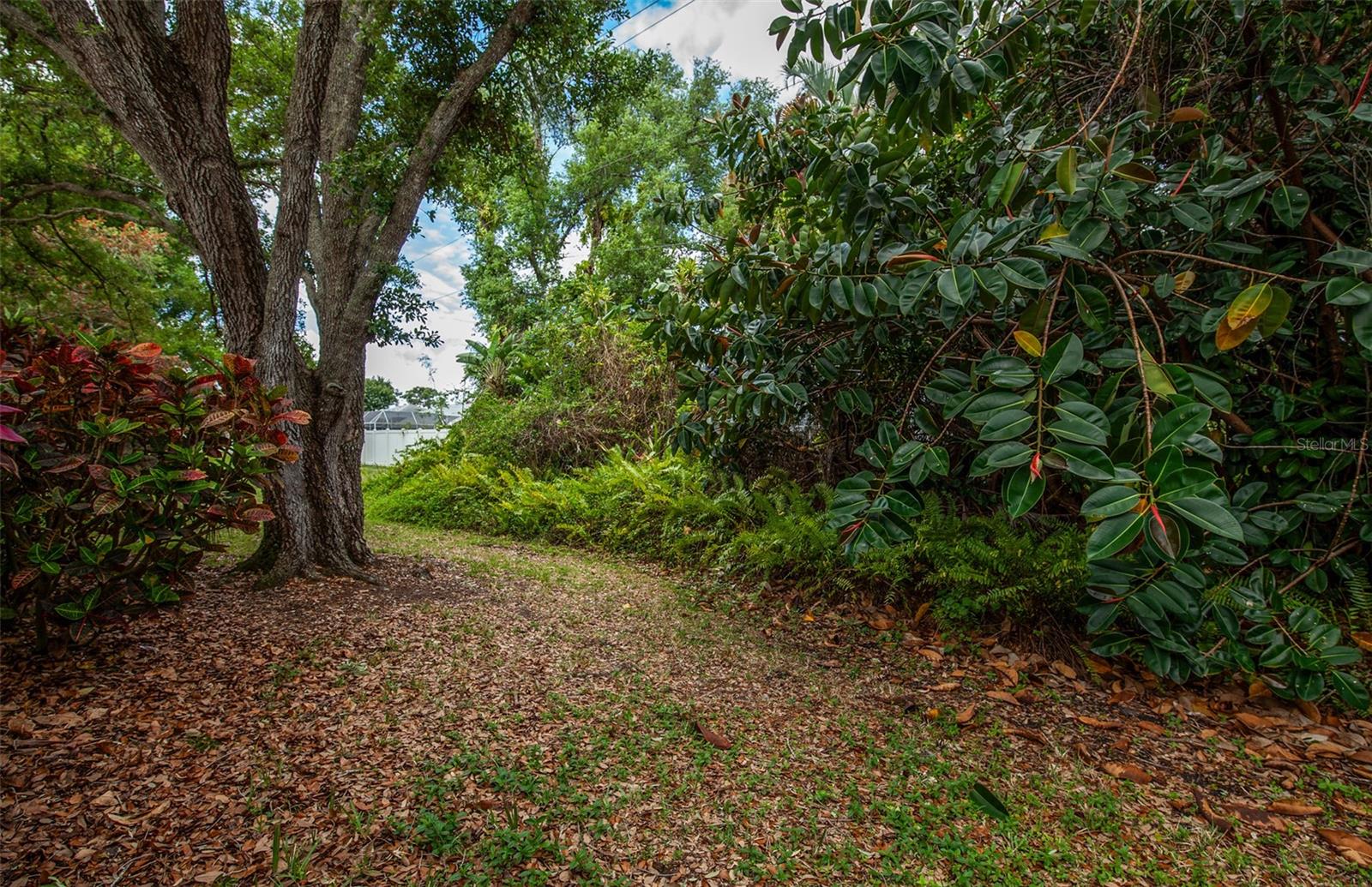 Image 48 of 71 For 247 Southampton Lane 272