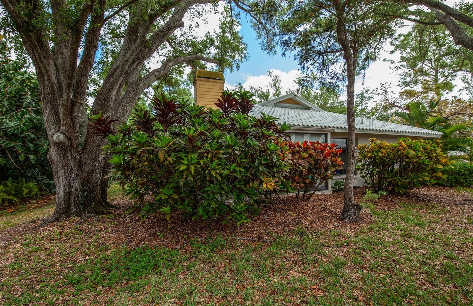 Image 49 of 71 For 247 Southampton Lane 272