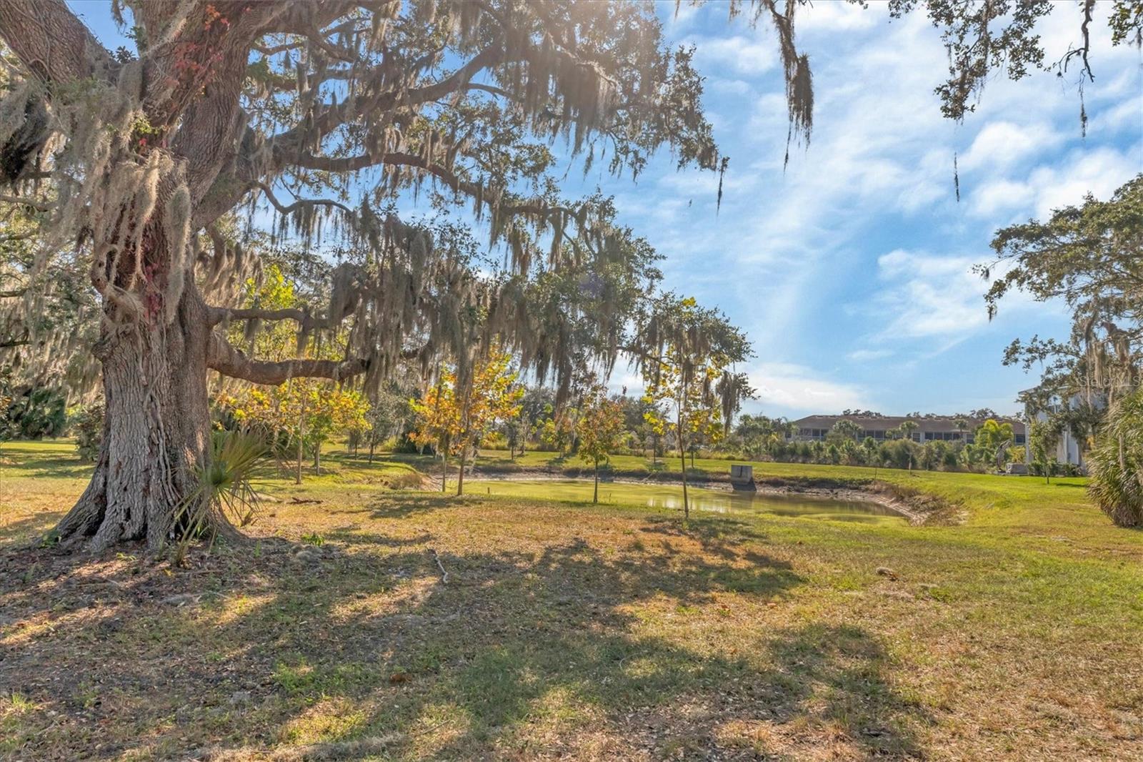 Image 39 of 72 For 8657 Palmer Park Circle