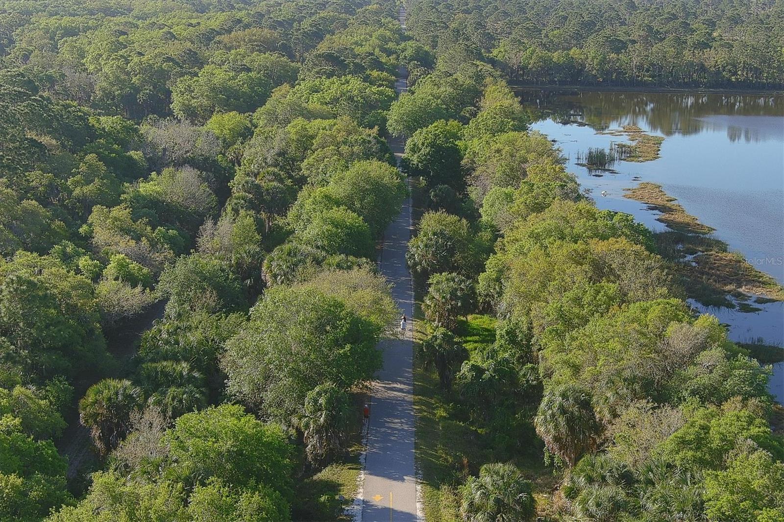 Image 54 of 72 For 8657 Palmer Park Circle