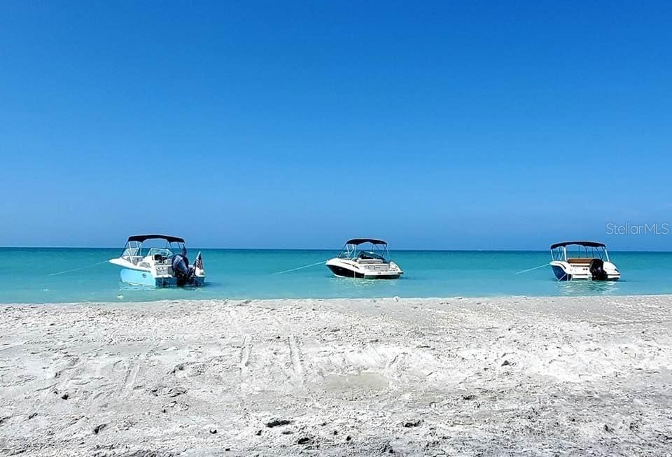 Image 54 of 73 For 1537 Crest Drive