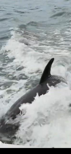 Image 67 of 73 For 1537 Crest Drive