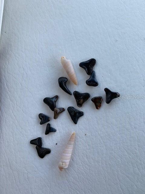 Image 70 of 73 For 1537 Crest Drive