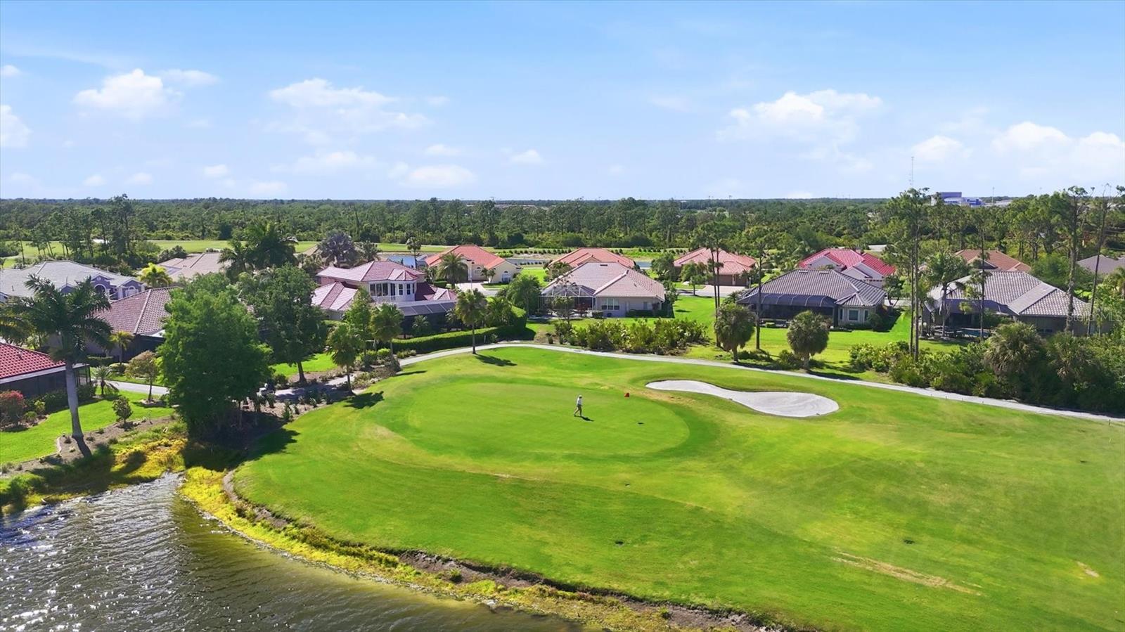 Image 60 of 90 For 1166 Eagles Flight Way