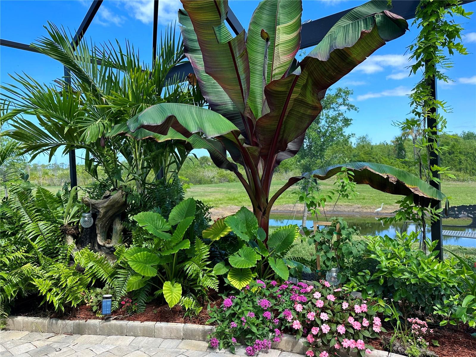 Image 20 of 55 For 8608 Saint Kitts Circle