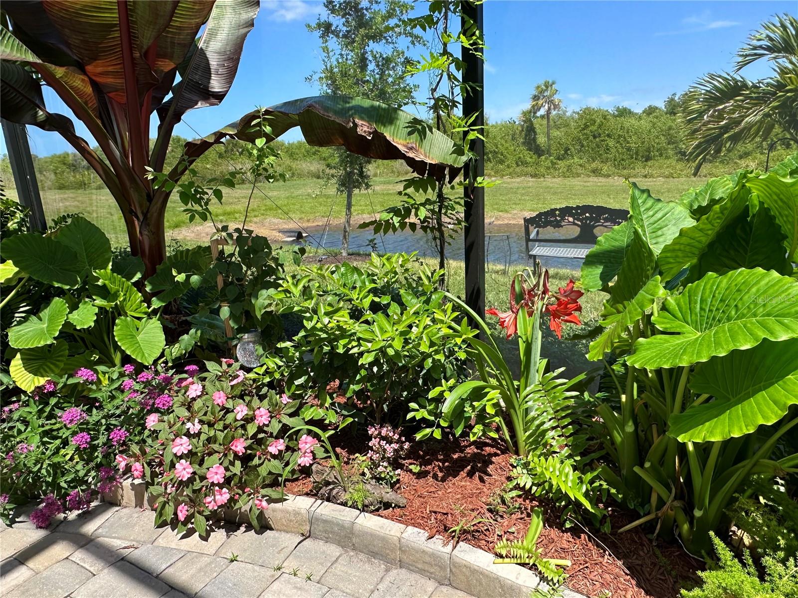 Image 23 of 55 For 8608 Saint Kitts Circle