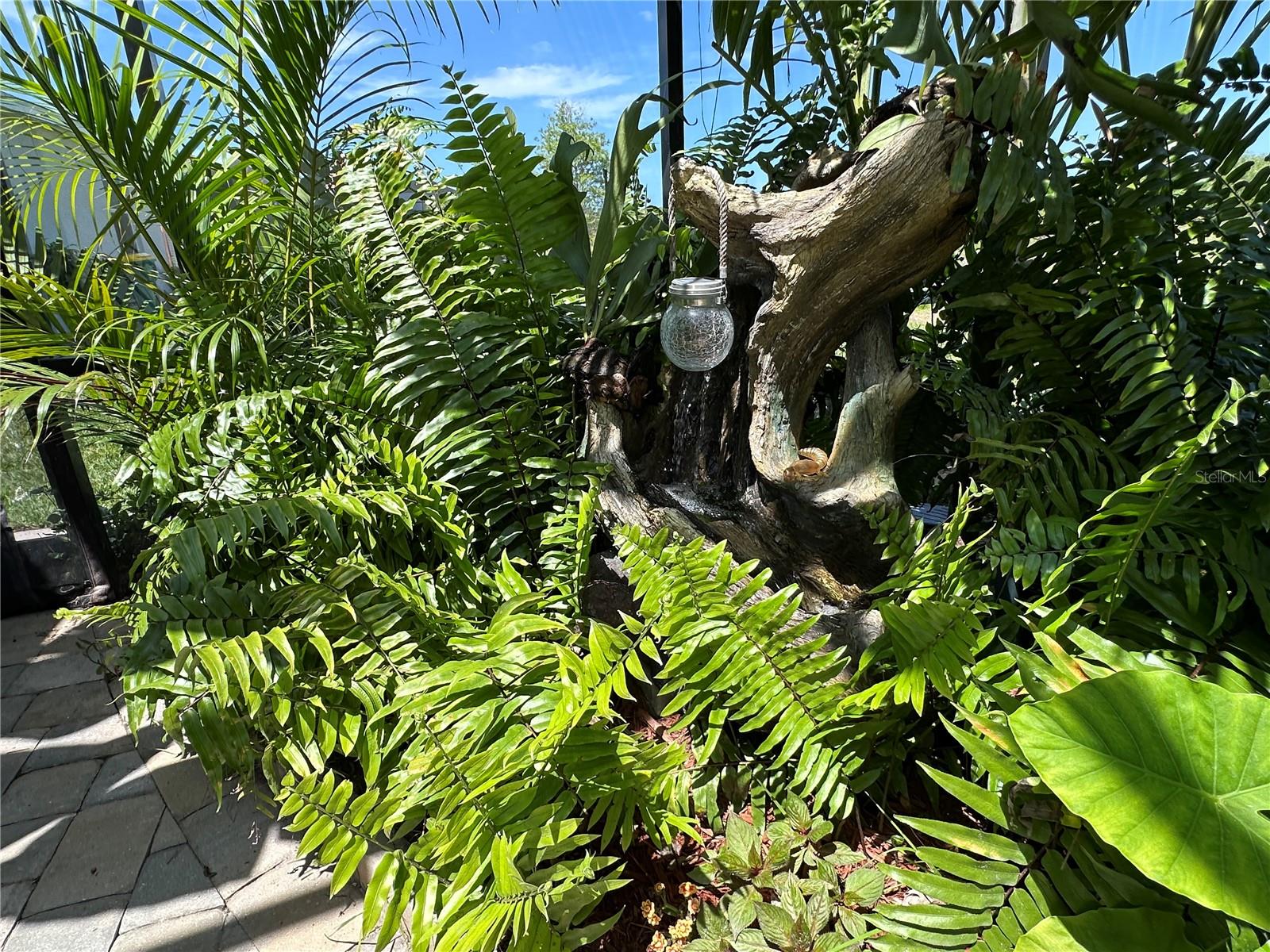 Image 42 of 55 For 8608 Saint Kitts Circle