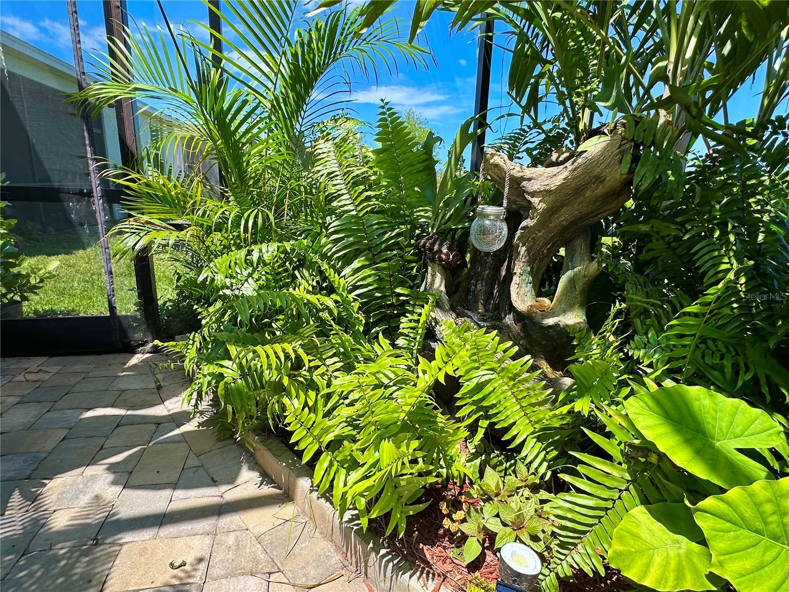 Image 43 of 55 For 8608 Saint Kitts Circle