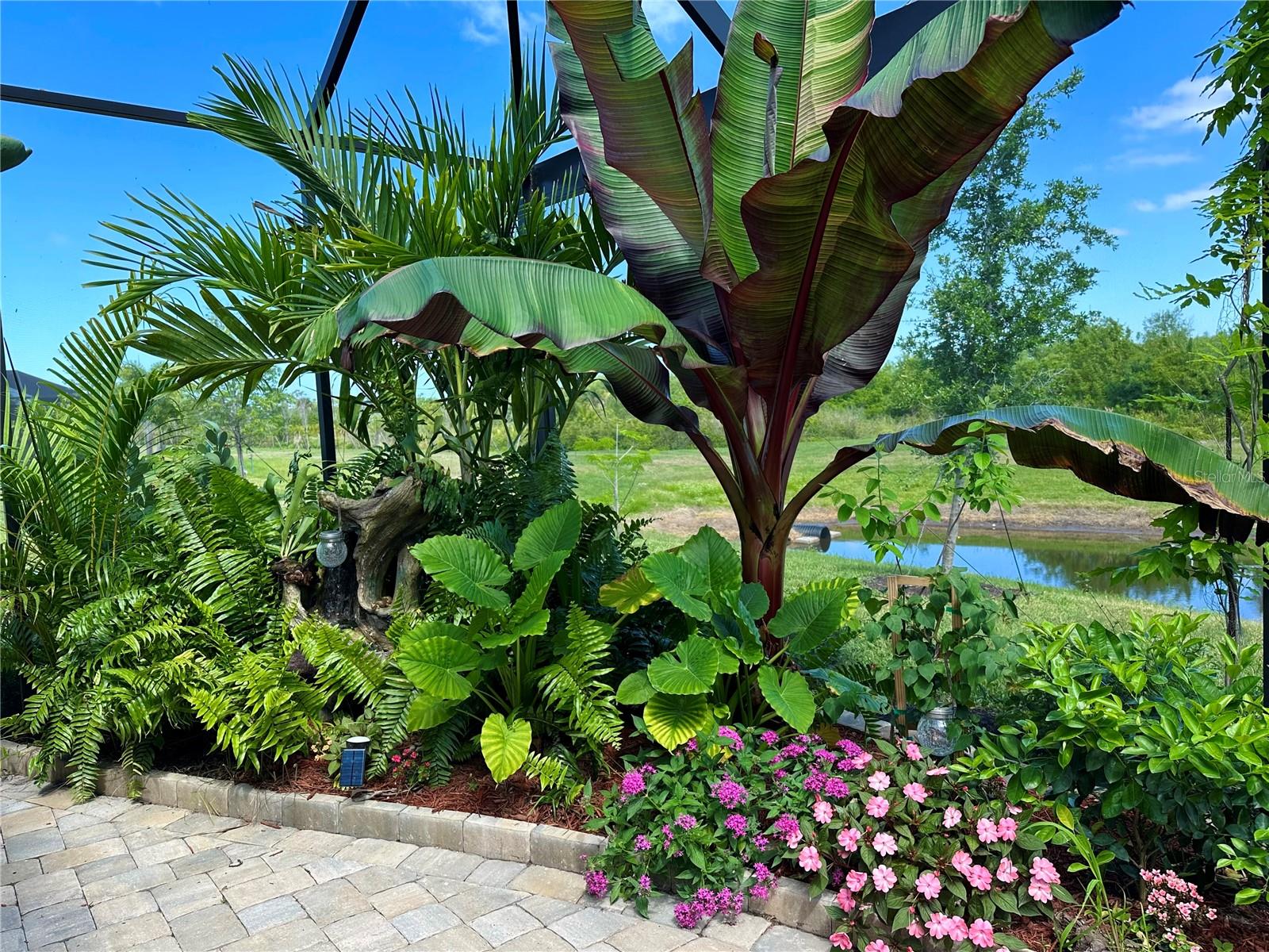 Image 55 of 55 For 8608 Saint Kitts Circle