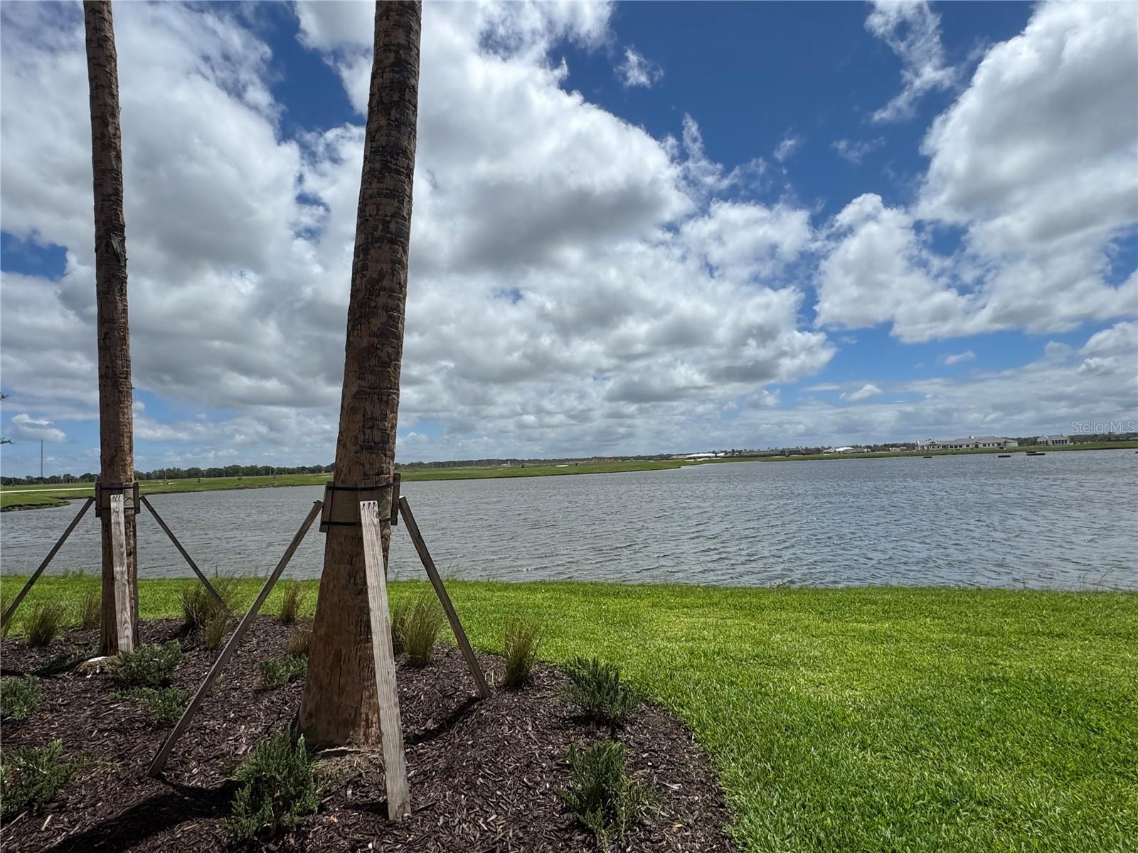 Image 15 of 16 For 19140 Scallop Loop  107