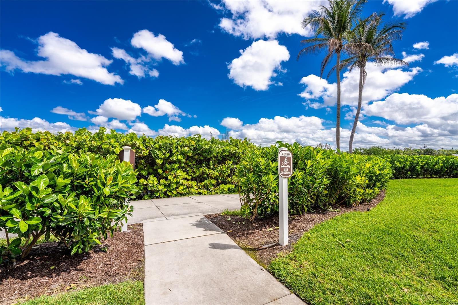 Image 53 of 96 For 167 Tampa Avenue E 513