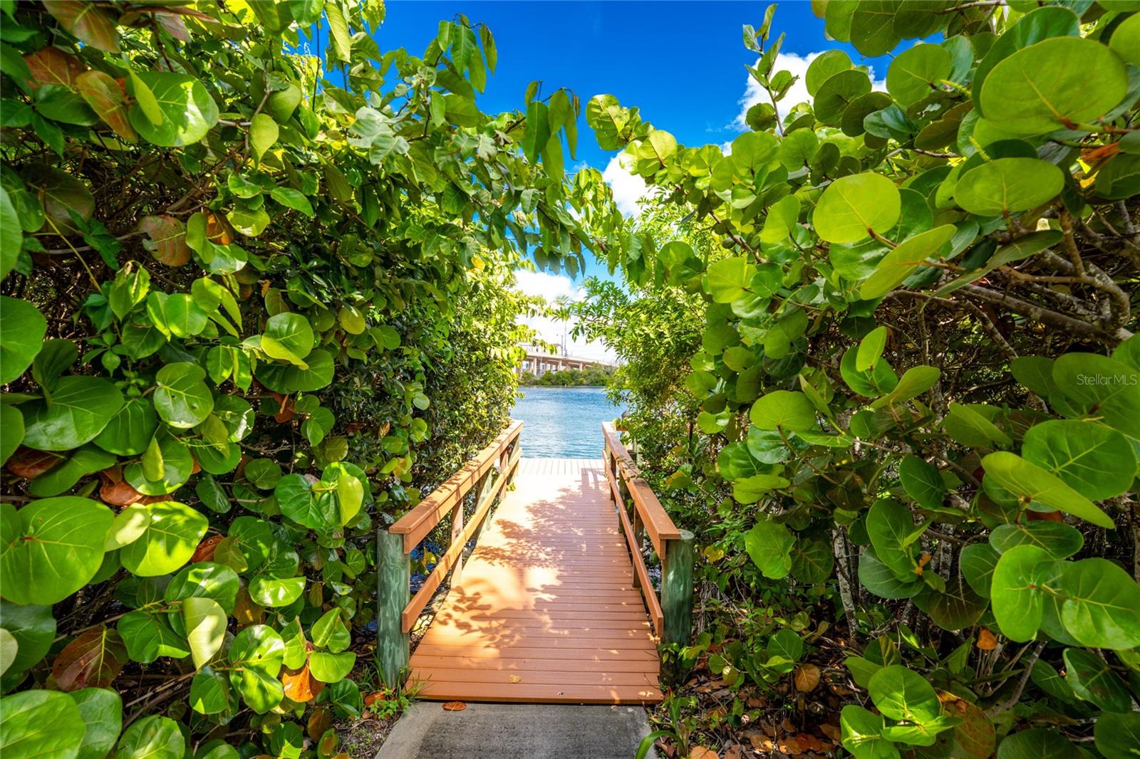 Image 54 of 96 For 167 Tampa Avenue E 513