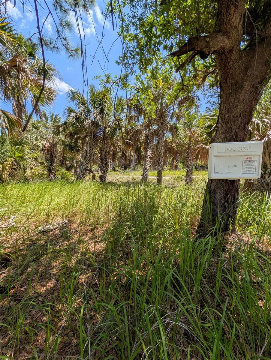 Image 8 of 9 For 2515 Colony Circle