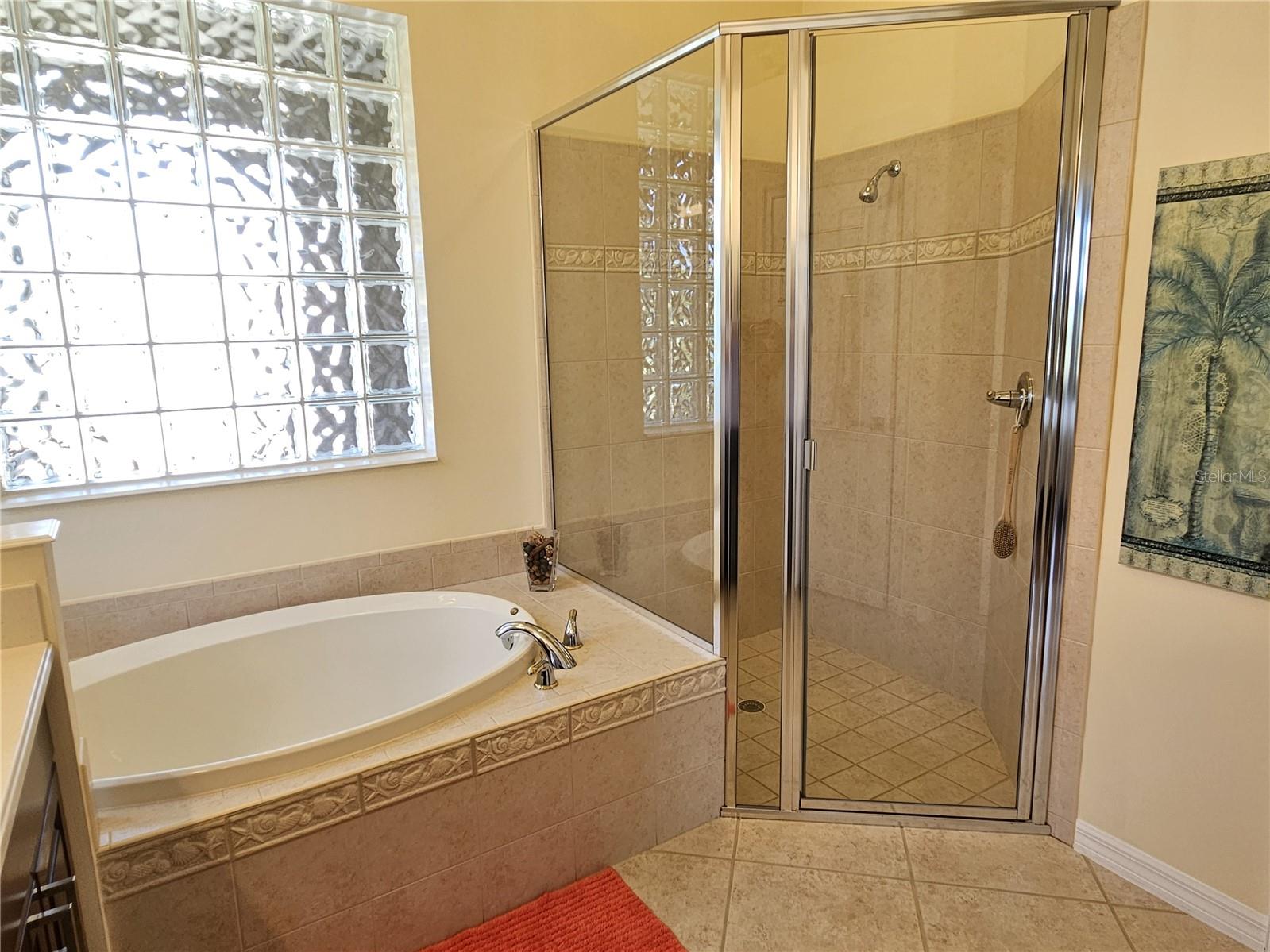 Image 28 of 37 For 133 Treviso Court