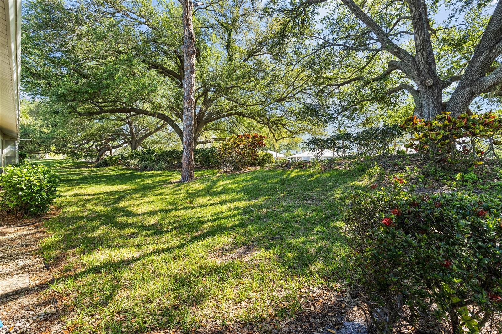 Image 47 of 76 For 138 Southampton Place S # 357