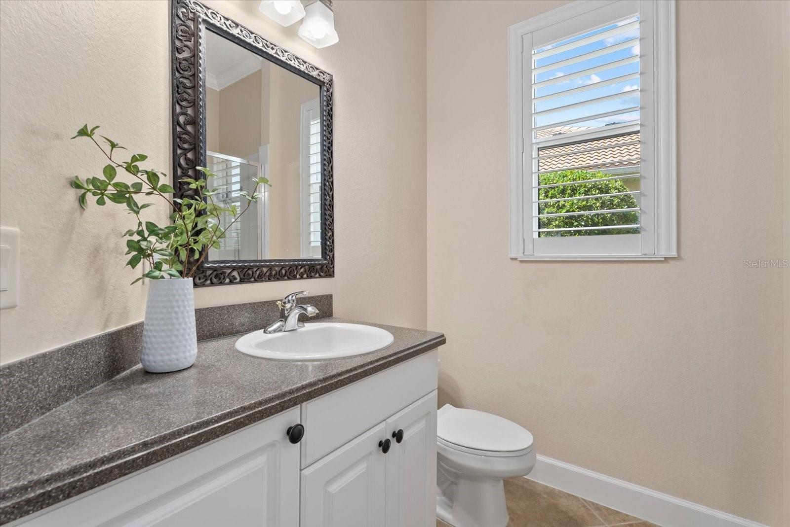 Image 29 of 76 For 229 Montelluna Drive