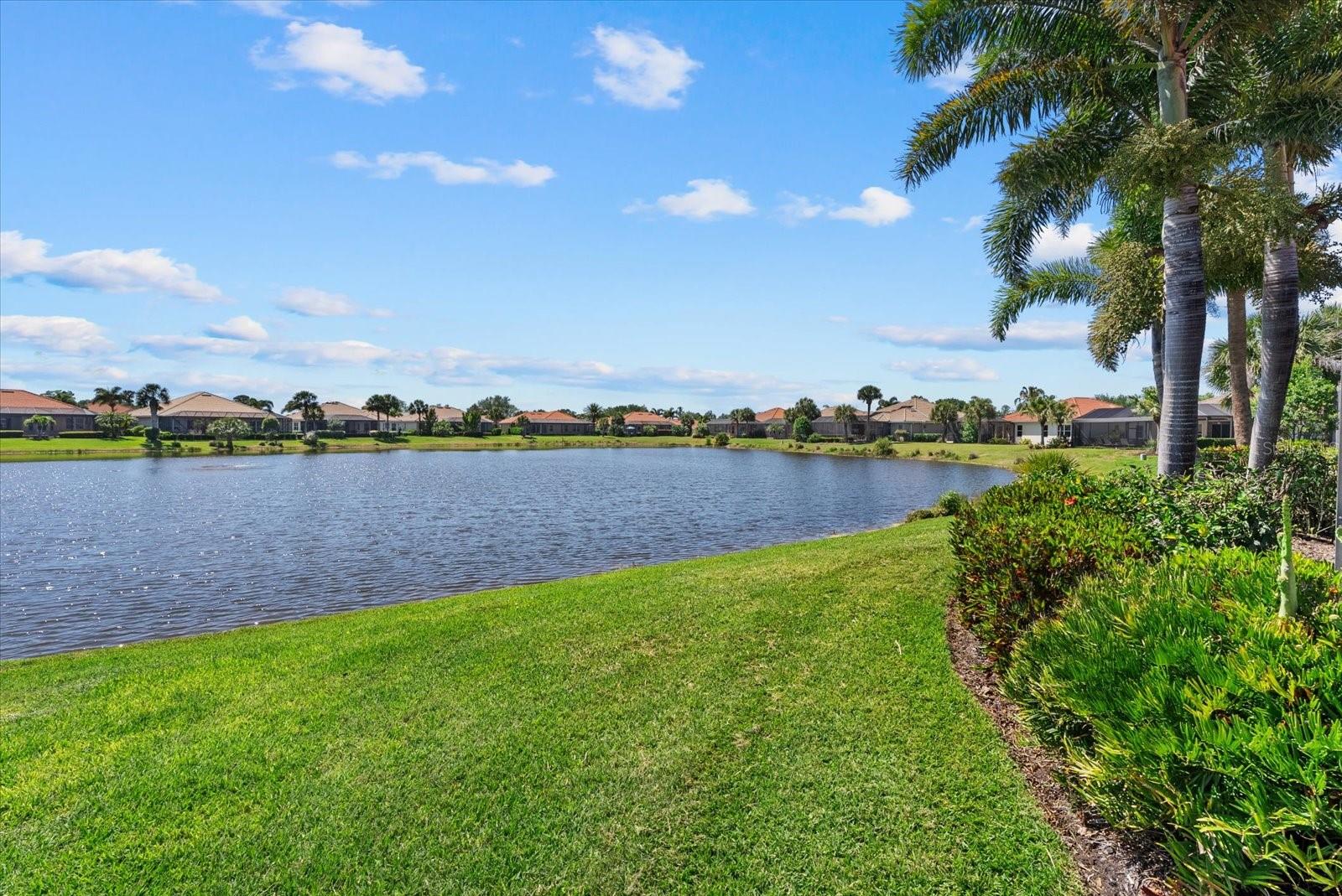 Image 48 of 76 For 229 Montelluna Drive