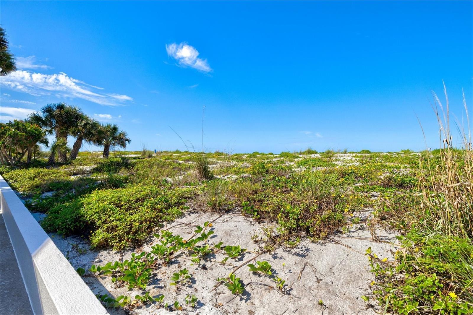 Image 55 of 78 For 1200 Tarpon Center Drive 1