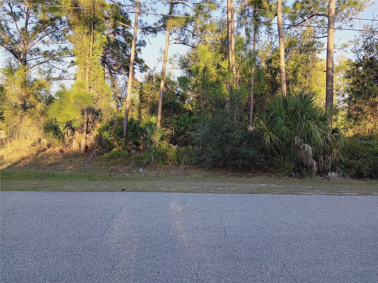 Image 5 of 5 For Lot 1 Tropicaire Boulevard