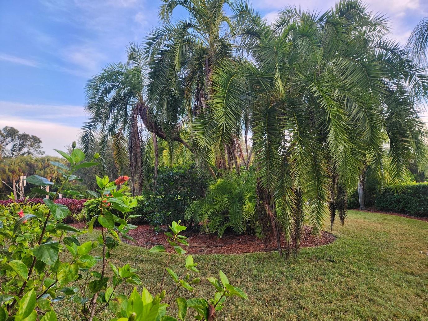 Image 8 of 42 For 4442 Corso Venetia Boulevard A14