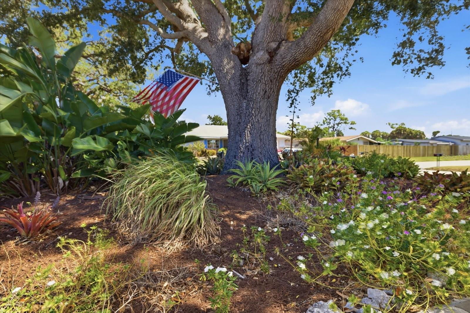 Image 45 of 48 For 1212 Pineland Avenue