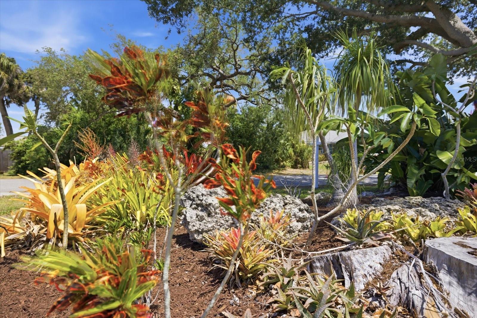 Image 46 of 48 For 1212 Pineland Avenue