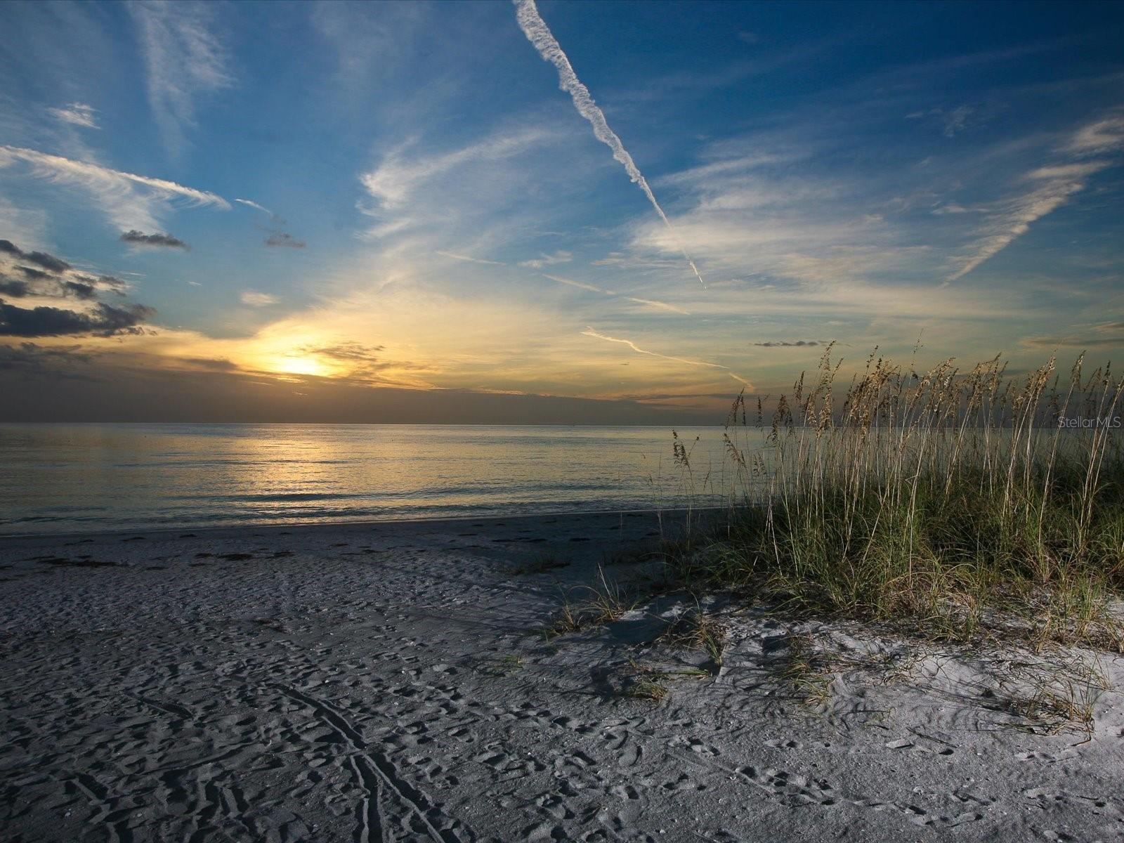 Image 41 of 41 For 708 Tamiami Trail S 105