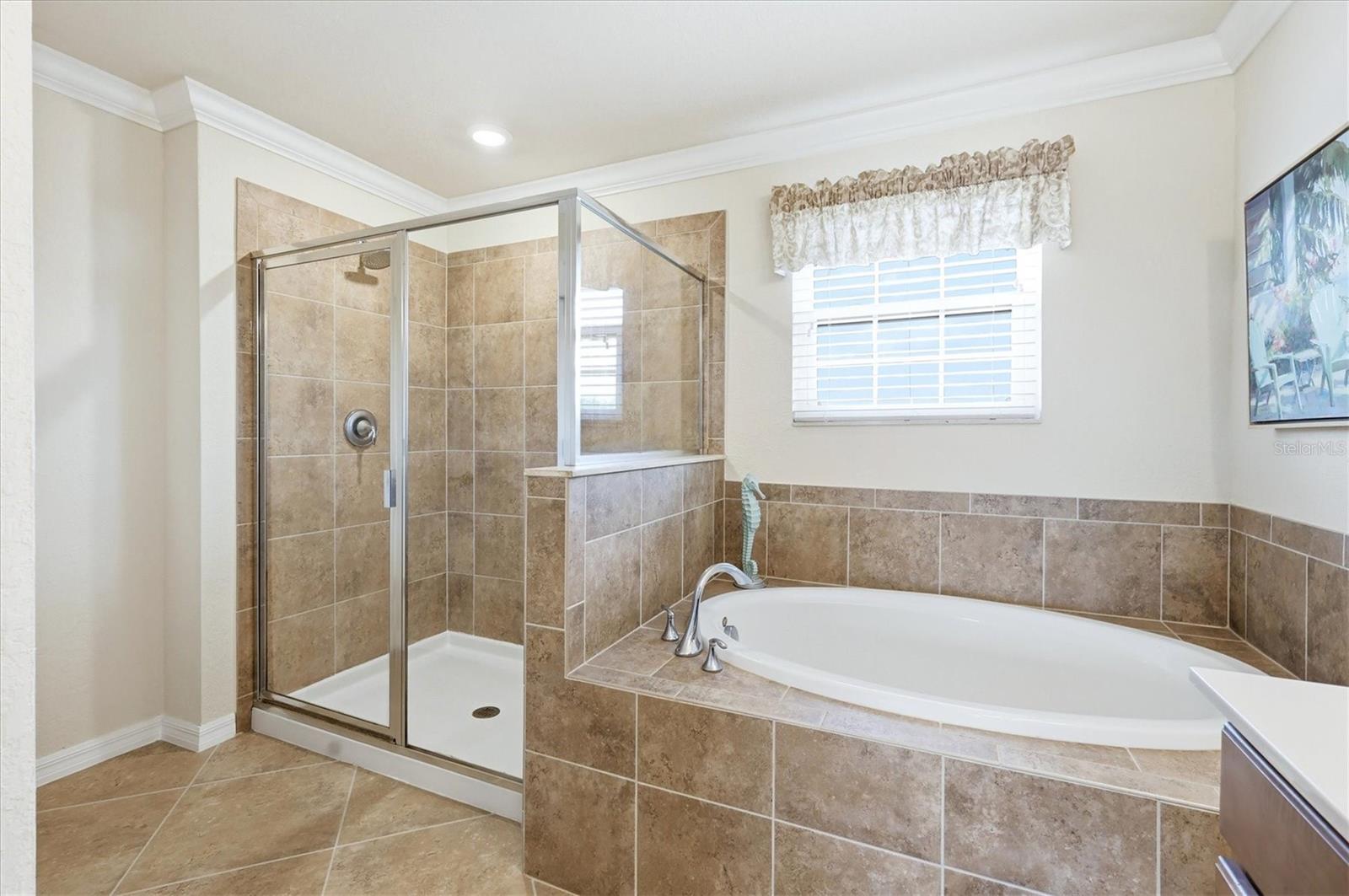 Image 29 of 89 For 12541 Cinqueterre Drive