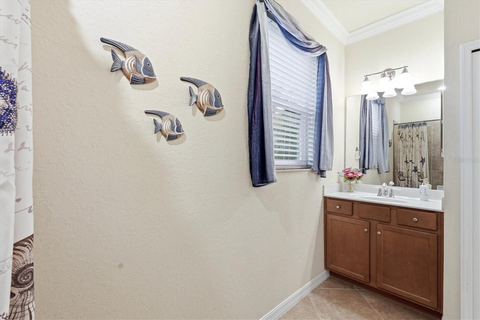 Image 38 of 89 For 12541 Cinqueterre Drive