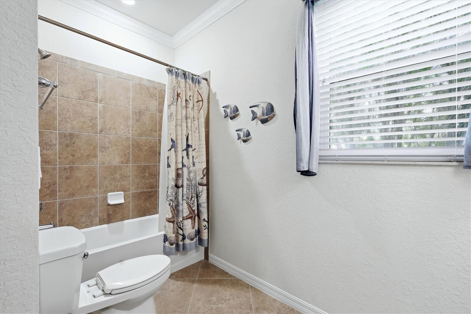 Image 39 of 89 For 12541 Cinqueterre Drive