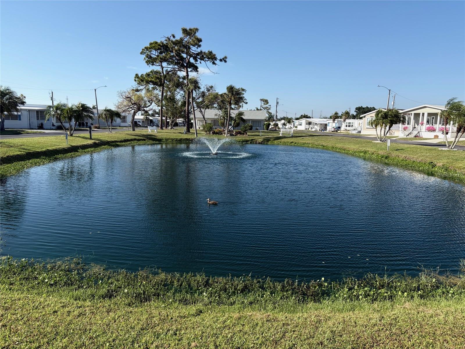 Image 7 of 29 For 218 Outer Drive W