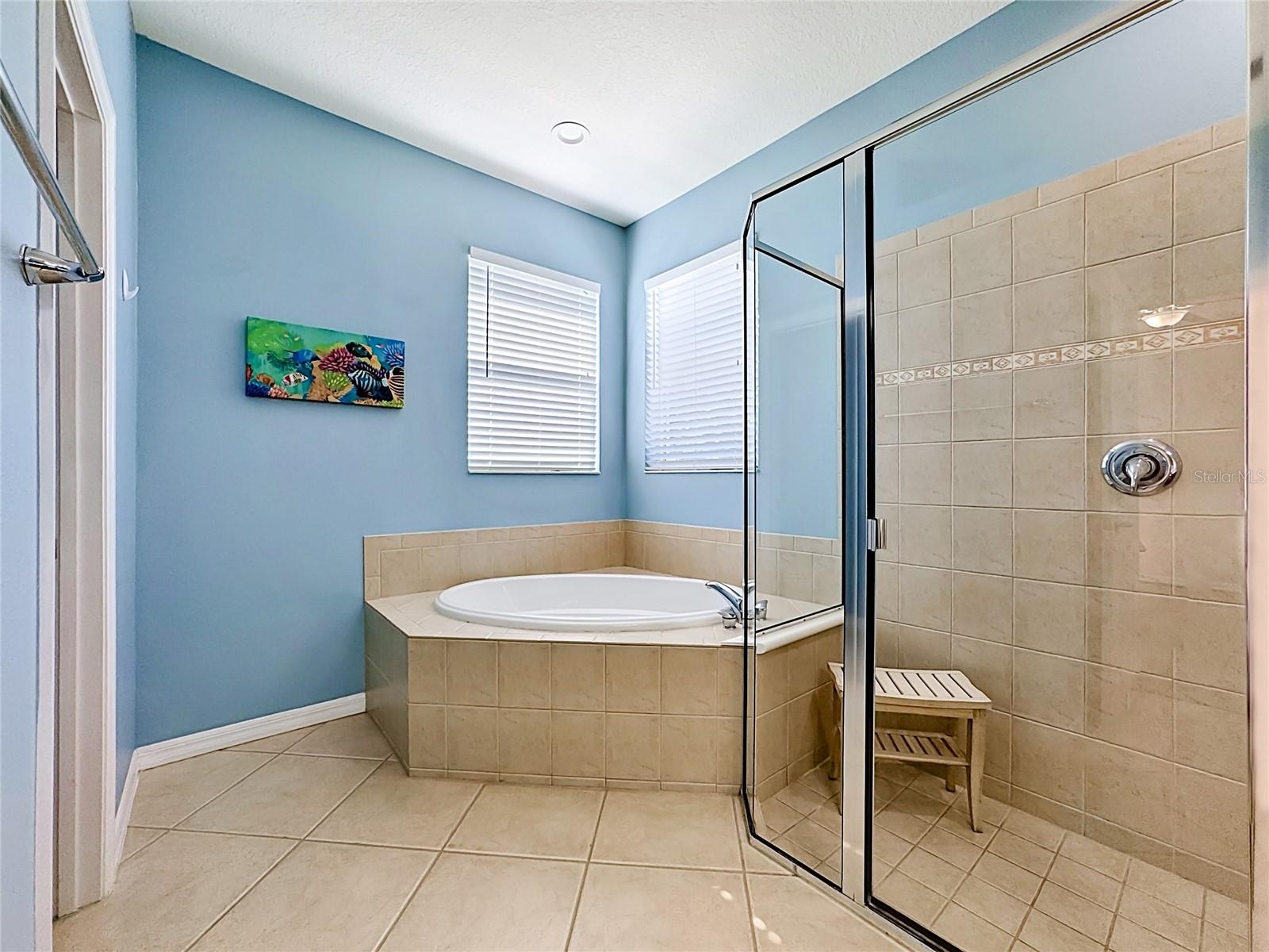 Listing photo id 40 for 11603 Dancing River Drive