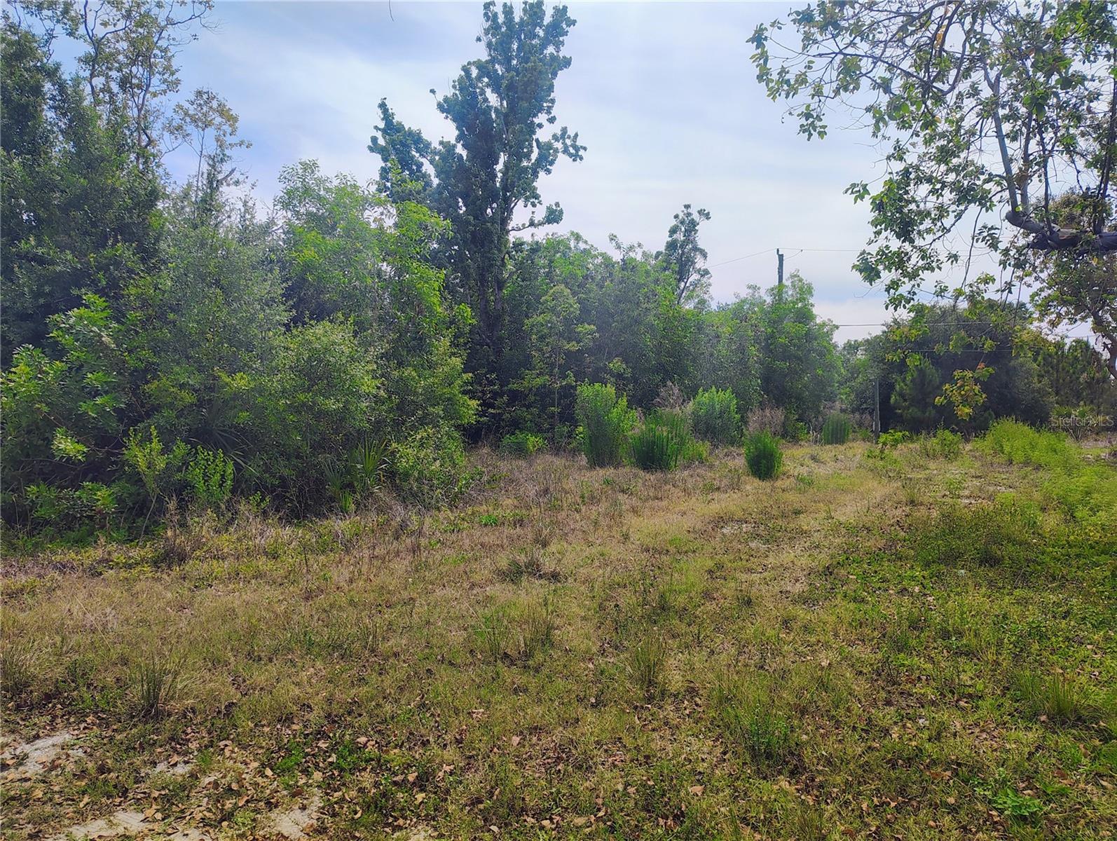 Image 2 of 4 For 9284 Mandy Street