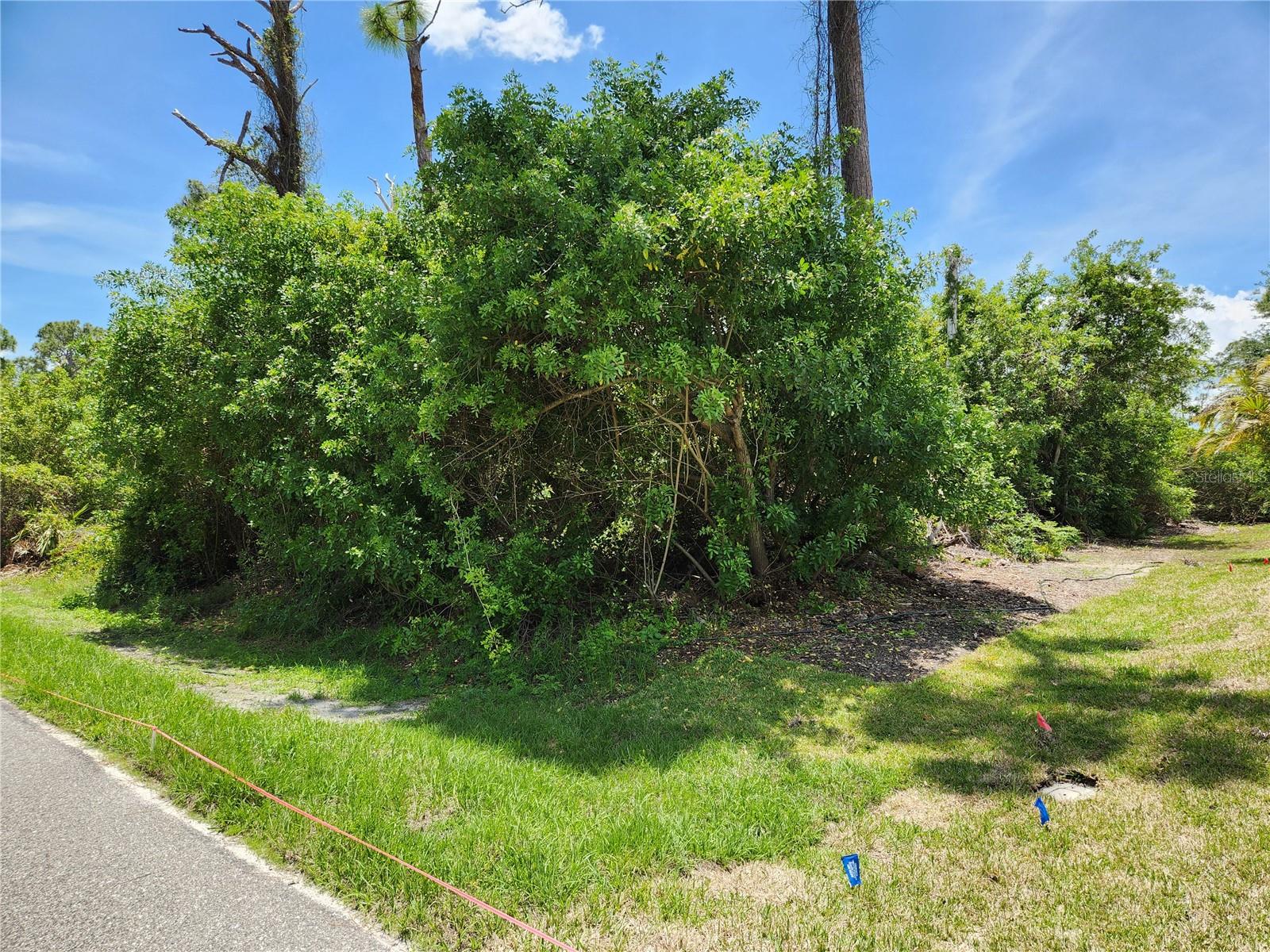 Image 2 of 4 For 2513 Woodyglen Street