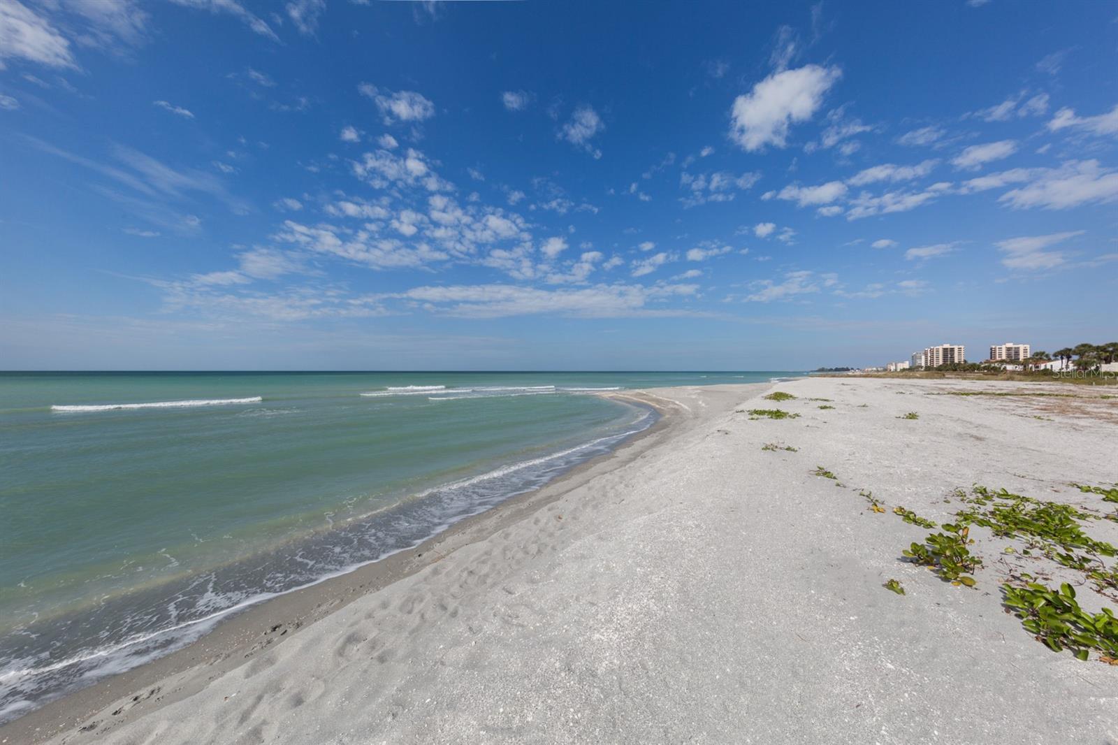 Image 10 of 70 For 700 Golden Beach Boulevard 236
