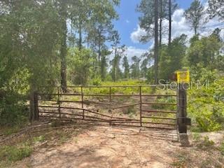 Image 6 of 6 For  Obrien Road 