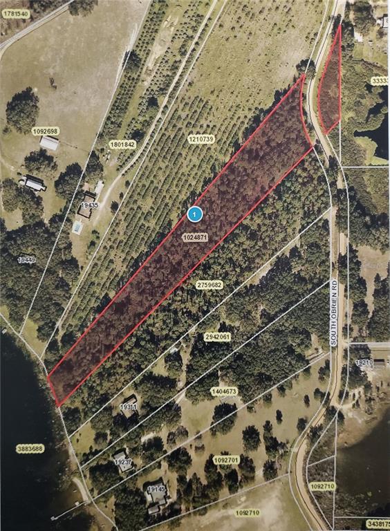 Details for  Obrien Road , GROVELAND, FL 34736