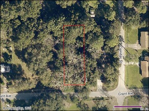 Details for Grant Avenue, EUSTIS, FL 32726