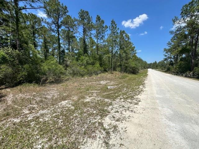 Details for Tbd Otter Drive Lot 44, WEBSTER, FL 33597