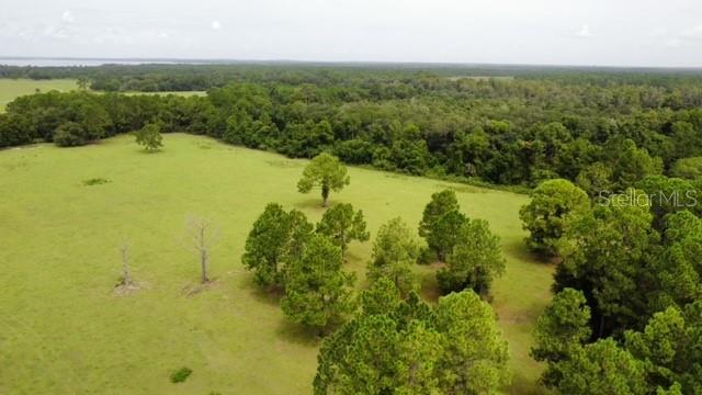 Details for 37731 State Road 19, UMATILLA, FL 32784