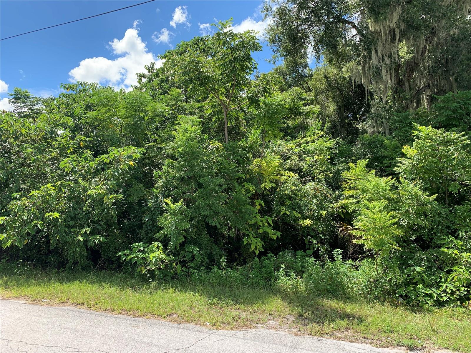 Details for County Road 144, WILDWOOD, FL 34785