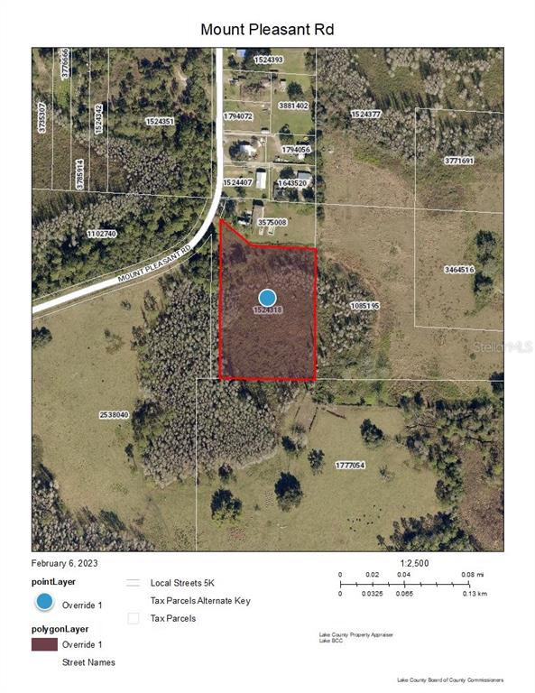 Details for Mount Pleasant Road, GROVELAND, FL 34736