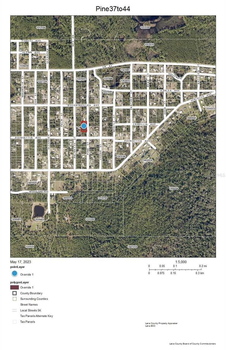 Details for Lot 37-44 Pine Street, PAISLEY, FL 32767