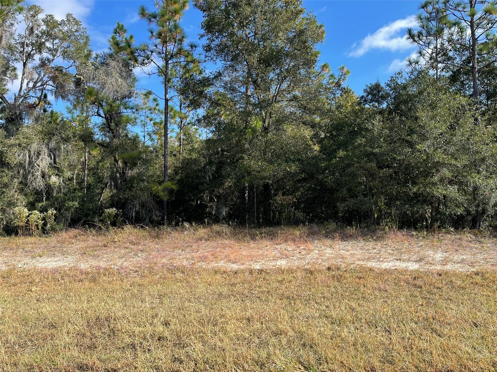 Details for Lot 44 102nd Street Road, DUNNELLON, FL 34431