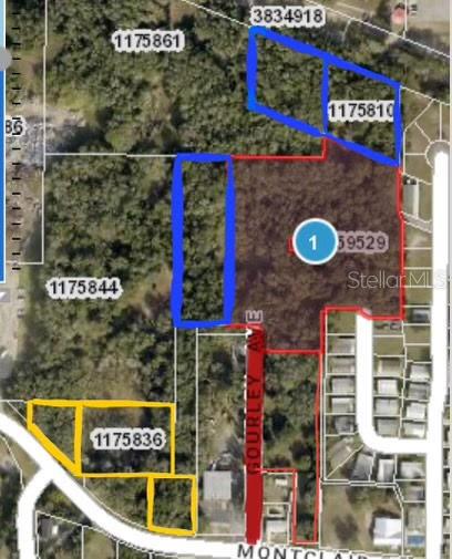 Details for Gourley Avenue, LEESBURG, FL 34748