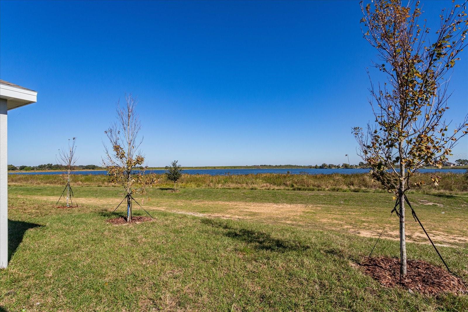 Image 9 of 28 For 302 Bottle Brush Drive