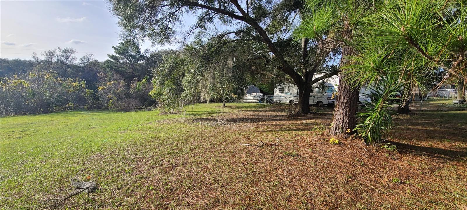 Listing Details for 17100 251st Terrace, UMATILLA, FL 32784