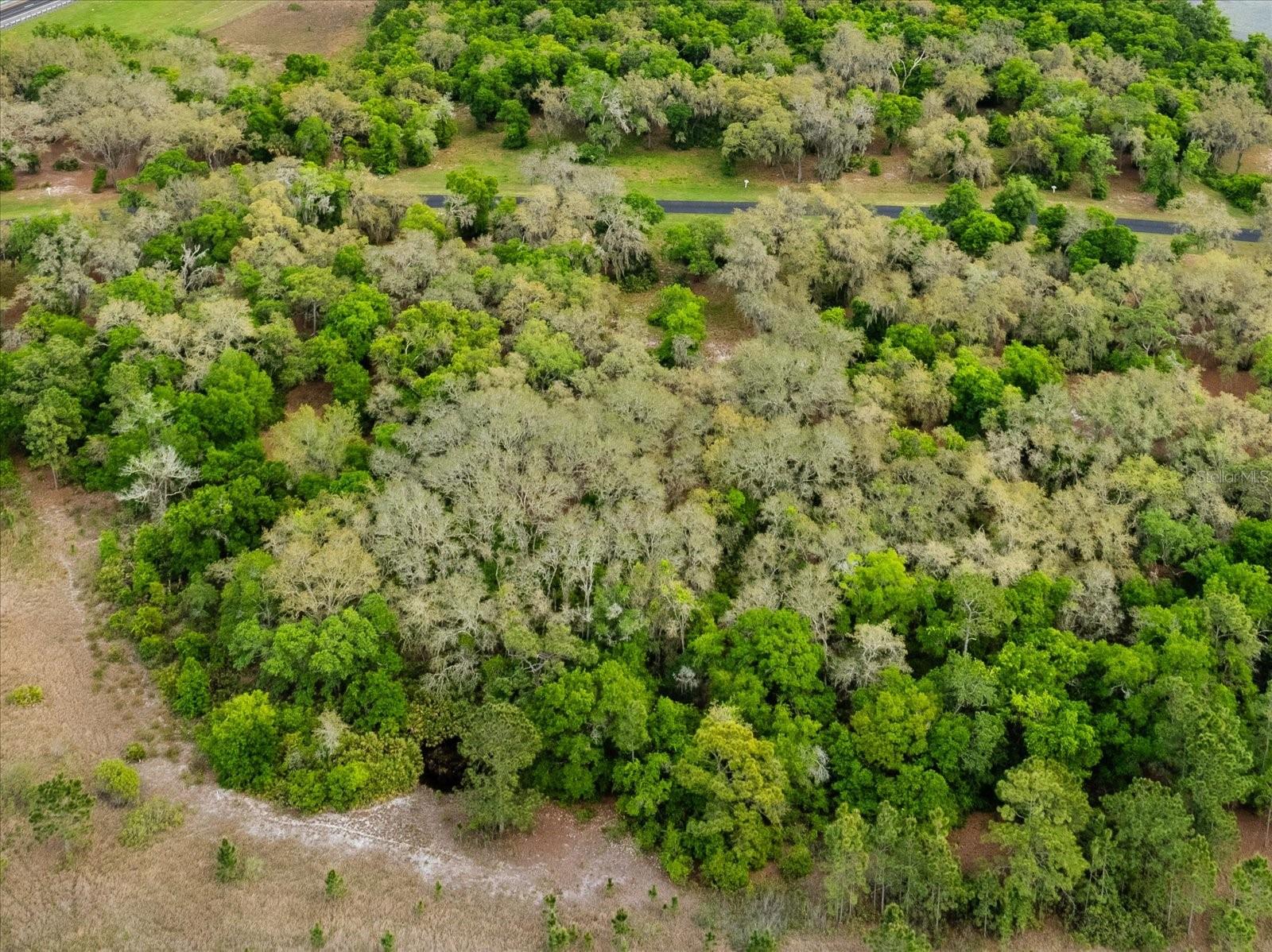 Image 8 of 15 For 3118 Bright Lake Circle Lot 59